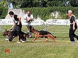 brad-di-ca-san-marco-e-bred-di casa-vizzato-